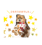 愛犬りんたんと愛鳥ピーちゃんの日常生活（個別スタンプ：18）