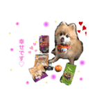 愛犬りんたんと愛鳥ピーちゃんの日常生活（個別スタンプ：22）