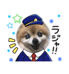 愛犬りんたんと愛鳥ピーちゃんの日常生活（個別スタンプ：28）
