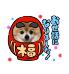 愛犬りんたんと愛鳥ピーちゃんの日常生活（個別スタンプ：29）
