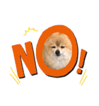愛犬りんたんと愛鳥ピーちゃんの日常生活（個別スタンプ：31）