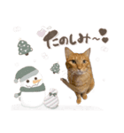 らとびじうぃんたー（個別スタンプ：5）