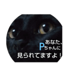 黒猫Pちゃん（Black−P）（個別スタンプ：15）