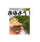愉快な生き物達！3（個別スタンプ：1）