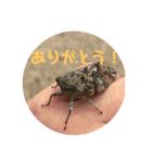 愉快な生き物達！3（個別スタンプ：4）