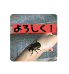 愉快な生き物達！3（個別スタンプ：5）