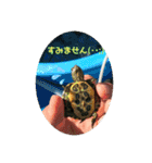 愉快な生き物達！3（個別スタンプ：7）