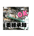 愉快な生き物達！3（個別スタンプ：9）