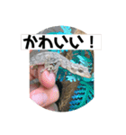 愉快な生き物達！3（個別スタンプ：11）