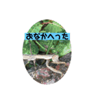 愉快な生き物達！3（個別スタンプ：12）