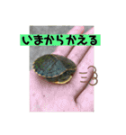 愉快な生き物達！3（個別スタンプ：15）