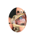 愉快な生き物達！3（個別スタンプ：17）