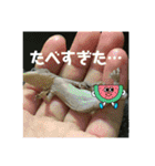愉快な生き物達！3（個別スタンプ：19）