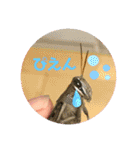 愉快な生き物達！3（個別スタンプ：21）