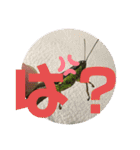 愉快な生き物達！3（個別スタンプ：22）
