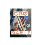 愉快な生き物達！3（個別スタンプ：24）