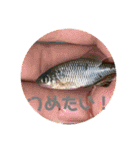 愉快な生き物達！3（個別スタンプ：27）