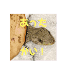 愉快な生き物達！3（個別スタンプ：28）