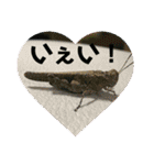 愉快な生き物達！3（個別スタンプ：29）
