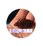 愉快な生き物達！3（個別スタンプ：30）