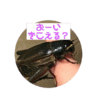 愉快な生き物達！3（個別スタンプ：33）