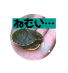 愉快な生き物達！3（個別スタンプ：34）