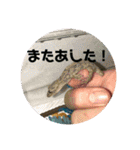 愉快な生き物達！3（個別スタンプ：36）
