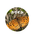 愉快な生き物達！3（個別スタンプ：37）