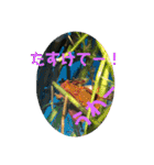 愉快な生き物達！3（個別スタンプ：38）