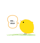 全てを理解したひよこ（個別スタンプ：4）
