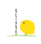 全てを理解したひよこ（個別スタンプ：16）
