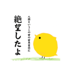 全てを理解したひよこ（個別スタンプ：19）