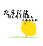 全てを理解したひよこ（個別スタンプ：20）