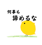 全てを理解したひよこ（個別スタンプ：22）