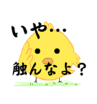 全てを理解したひよこ（個別スタンプ：36）