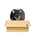 黒柴櫻子（個別スタンプ：7）