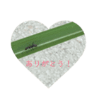 ムッシュ昆虫（個別スタンプ：7）