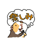 お出かけモルモット（個別スタンプ：2）