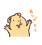 お出かけモルモット（個別スタンプ：10）