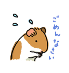 お出かけモルモット（個別スタンプ：16）