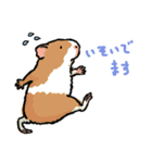 お出かけモルモット（個別スタンプ：18）