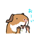 お出かけモルモット（個別スタンプ：19）