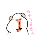 お出かけモルモット（個別スタンプ：21）