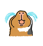 お出かけモルモット（個別スタンプ：22）