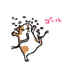 お出かけモルモット（個別スタンプ：24）