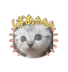 ここ＆おもち＆あんこ（個別スタンプ：13）