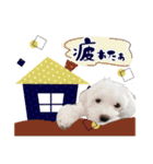 ここ＆おもち＆あんこ（個別スタンプ：14）