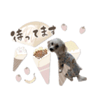 ここ＆おもち＆あんこ（個別スタンプ：19）
