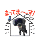 ここ＆おもち＆あんこ（個別スタンプ：24）