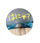 ぺんたんハムハム（個別スタンプ：5）